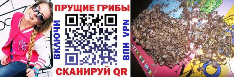 купить наркоту  Родники  Галлюциногенные грибы мицелий 